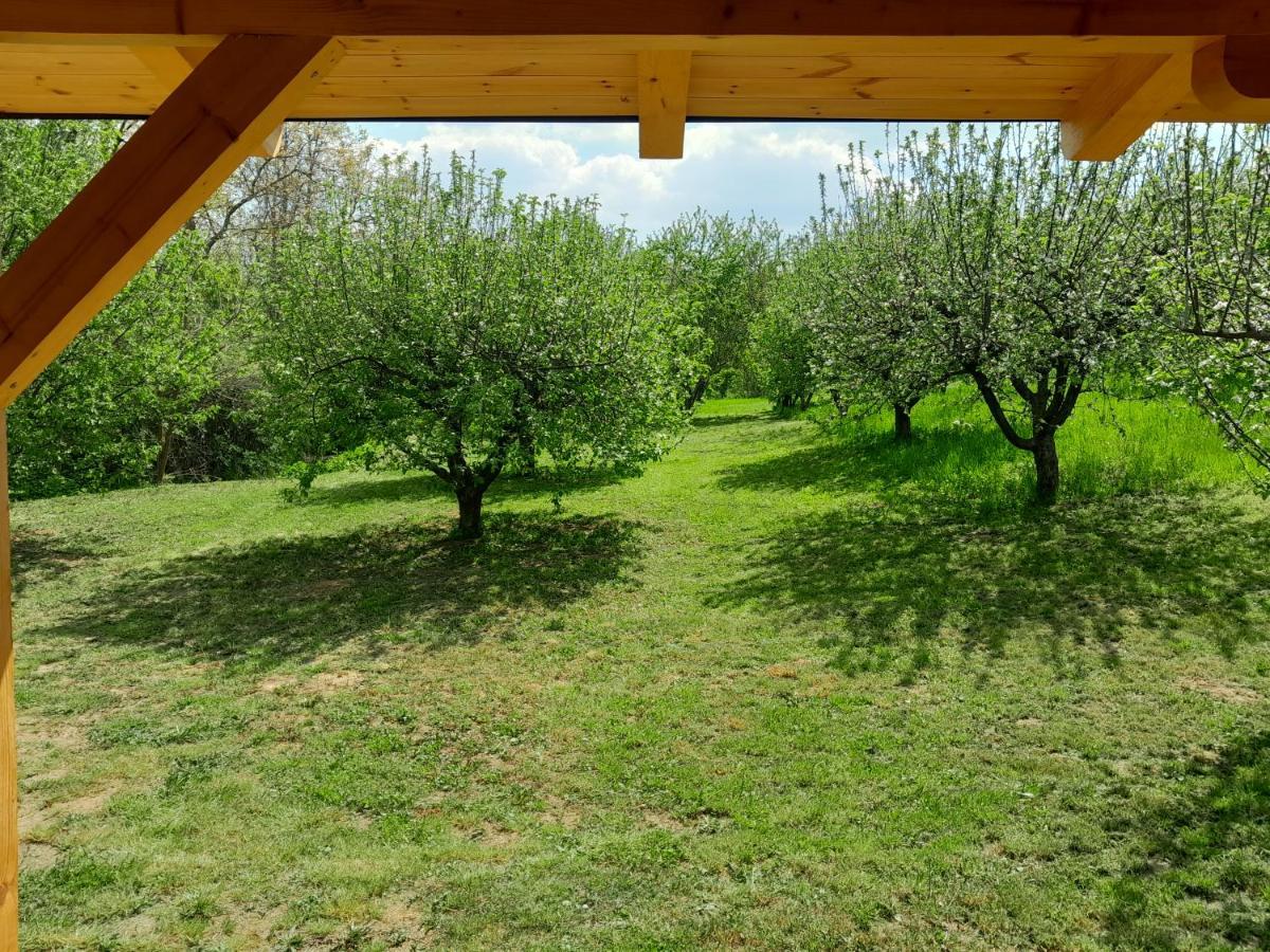 Nica Wood Villa Sremska Kamenica Exterior foto
