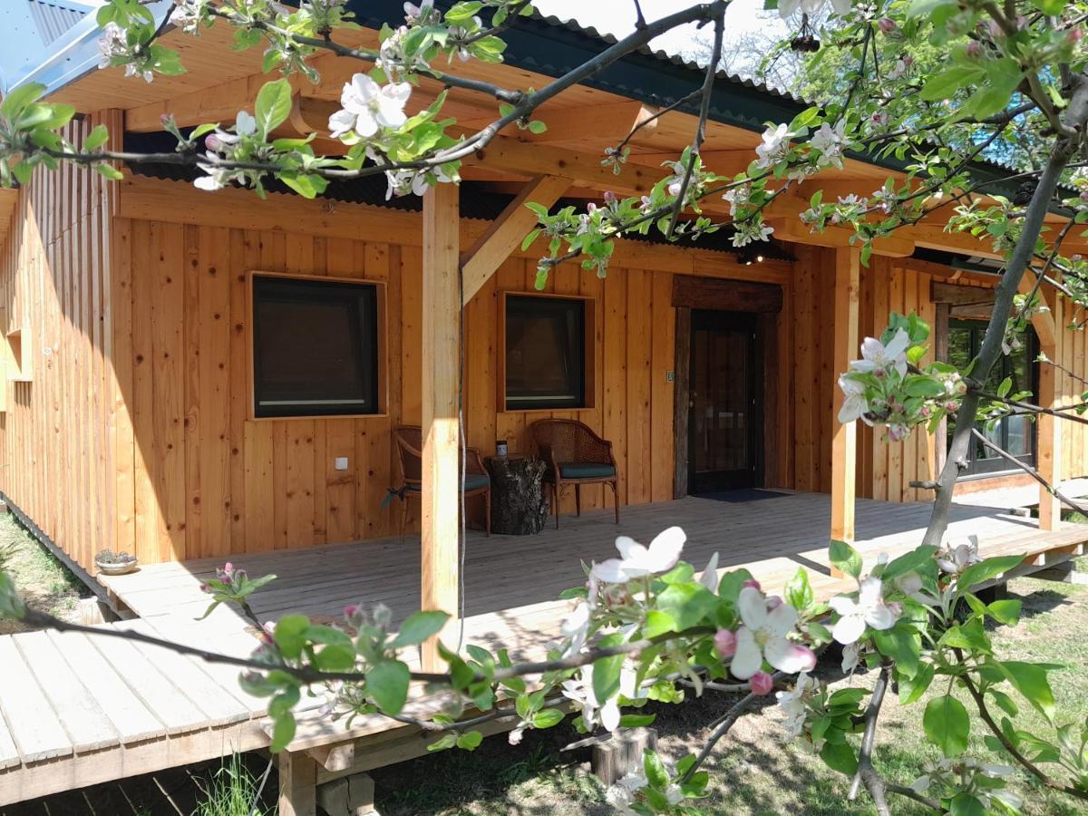 Nica Wood Villa Sremska Kamenica Exterior foto