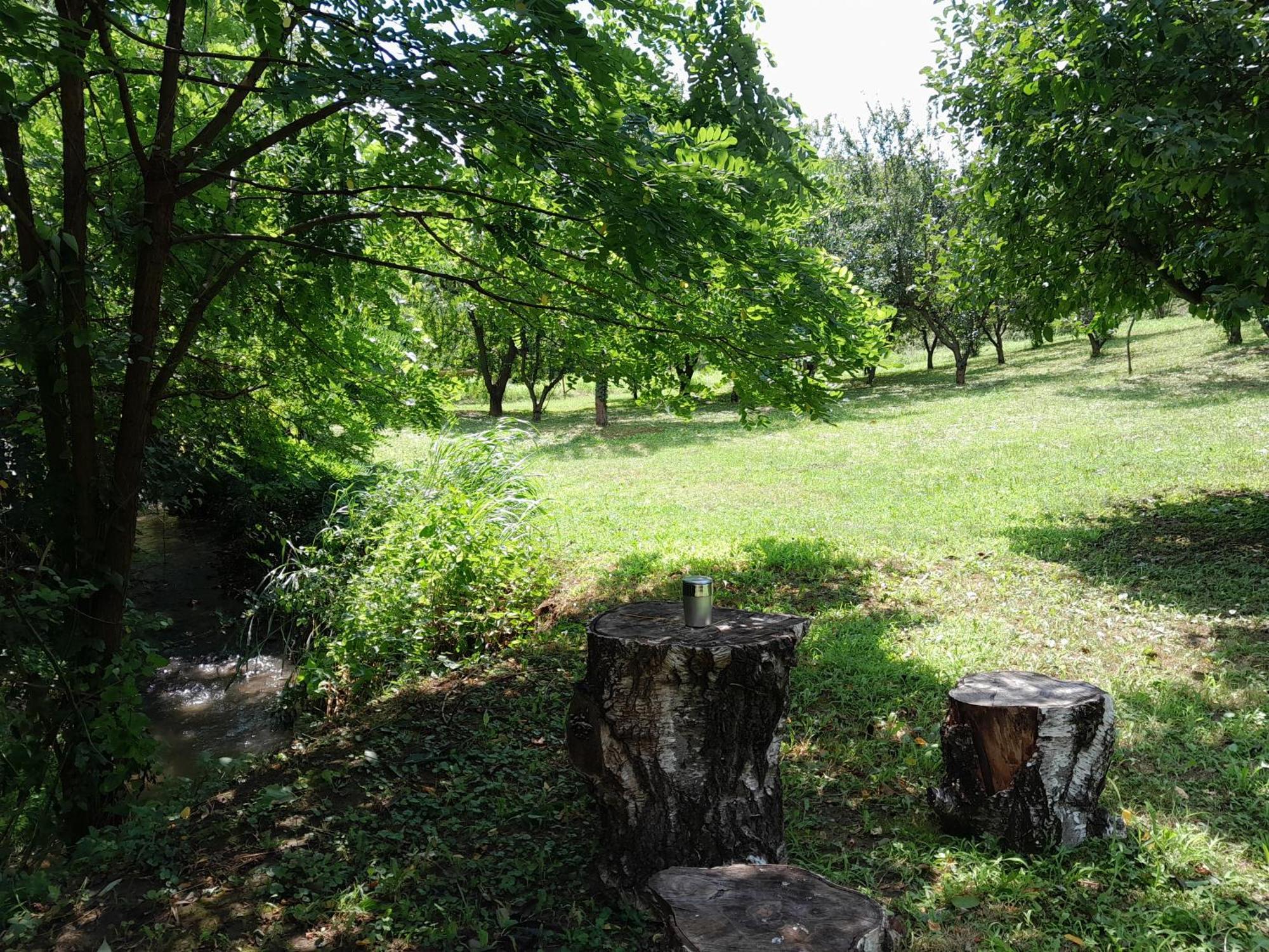 Nica Wood Villa Sremska Kamenica Exterior foto