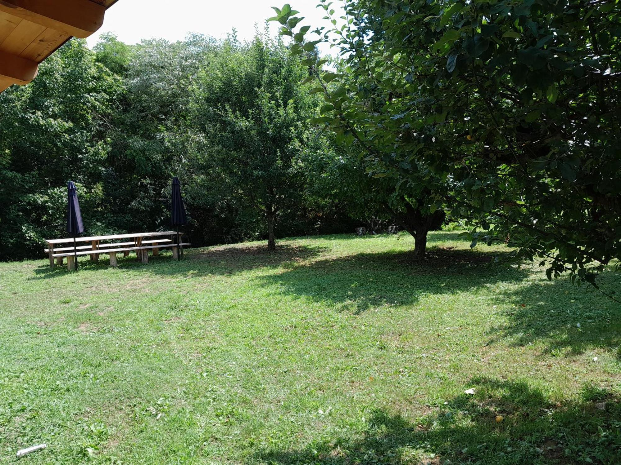 Nica Wood Villa Sremska Kamenica Exterior foto