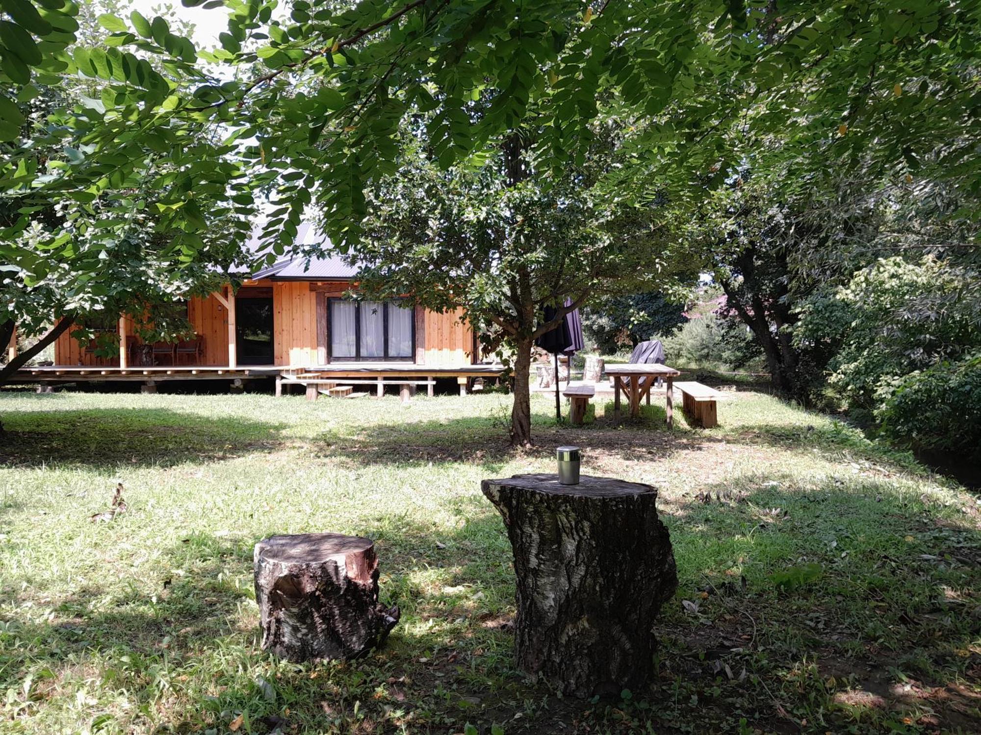 Nica Wood Villa Sremska Kamenica Exterior foto